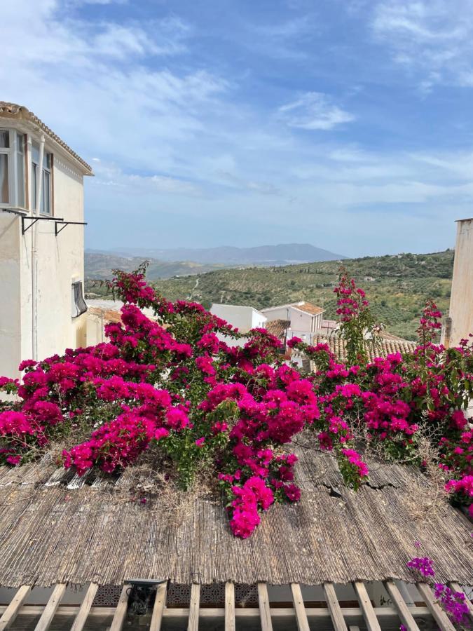 شقة كاسارابونيلا  في Casa La Vista المظهر الخارجي الصورة