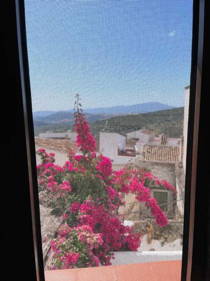 شقة كاسارابونيلا  في Casa La Vista المظهر الخارجي الصورة